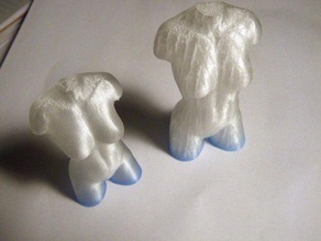 female torso art 3d print model - Mito3D
