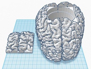 hollow brain top 3d printing idea storage 3d print model - Mito3D