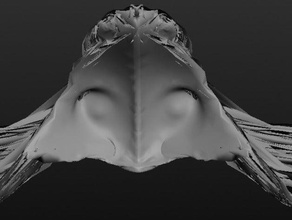 gruselig Schiff Kreaturen alien aliens Raumschiff 3d print model - Mito3D