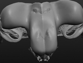 ghost monkey Kreaturen 3d print model - Mito3D