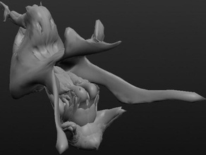 seltsames Tier Kreaturen strandbeest 3d print model - Mito3D