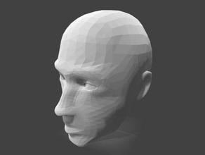 Cara en 3d exploraciones las réplicas cabeza cuerpo humano 3d print model - Mito3D