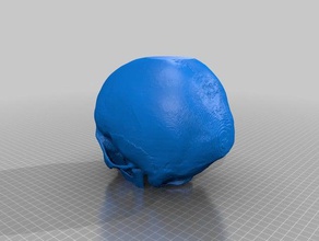skull ct 3d printing 3d print model - Mito3D