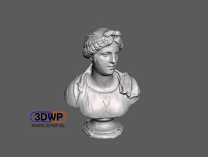 busto di giovane donna simone bianco statua scansione 3d le scansioni repliche 123d 123dcatch catch il greco scultura greca italiano meshmixer romano arte romana 3d print model - Mito3D