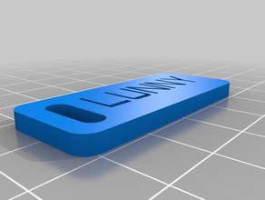 llavero fns11 organização personalizado 3d print model - Mito3D