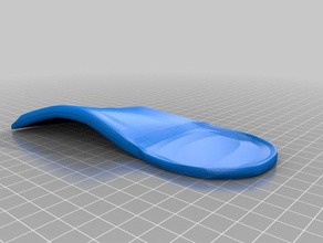 sashas right foot orthotic other customized 3d print model - Mito3D