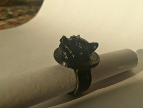 rocket raccoon ring eliza rings 3d print model - Mito3D