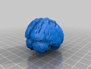 human brain people 3d print model - Mito3D