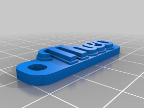 theo keychains customized 3d print model - Mito3D
