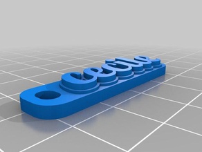 özelleştirilmiş çok satırlı etiket anahtarlığım Anahtarlık 3d print model - Mito3D