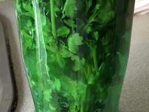 herbes fraîches gardien les conteneurs la bouteille de cuisson réfrigérateur animal compagnie recycler 3d print model - Mito3D