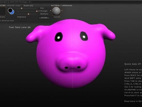 pig head sculptris test sculptures animal 3d print model - Mito3D