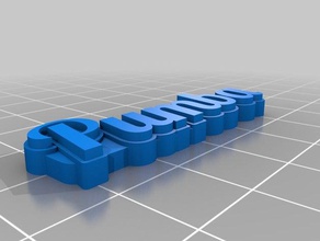 pumba name keychains customized 3d print model - Mito3D