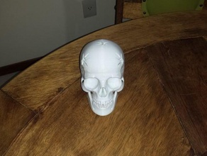 human skull 5 shoots keep pencil pen knife office 3d print model - Mito3D