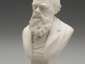 bust charles darwin c1899 scans replicas evolution history maas collection museum science sculpture 3d print model - Mito3D