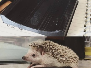 feeding bed disabled whs hedgehogs pets 3d print model - Mito3D