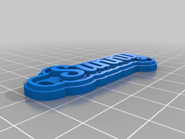 minha personalizado de várias linhas tag chaveiro ensolarado chaveiros 3D print model - Mito3D