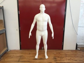 life-size body model people labs form human mannequin voodoo manufacturing 3d print model - Mito3D