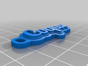 coque de porte-clés personnalisé 3d print model - Mito3D