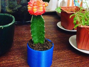cactus planter outdoor garden flower pot 3d print model - Mito3D