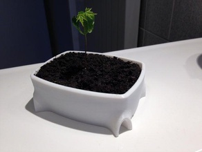bonsai pot 3d printing bio design ecological flower vase home leaves nature planter plants plant training tree 3d print model - Mito3D