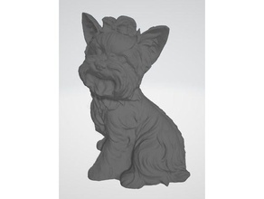 yorkie estatua de escaneo a los animales perro cachorro yorkshire terrier 3d print model - Mito3D