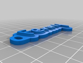 özelleştirilmiş çok satırlı etiket anahtarlığım Anahtarlık 3d print model - Mito3D