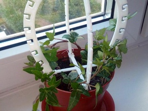 şekil tutucu Disco Bar bitki dekor çiçek ıvy 3d print model - Mito3D
