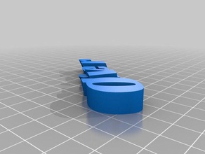 my customized iamburnystext name keyring keyfob organization 3d print model - Mito3D