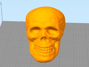 piccolo halloween cranio giocattolo le scansioni repliche l'osso decorazione di prop umano 3d print model - Mito3D