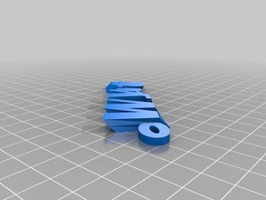 il mio personalizzato iamburnystext nome keyfob portachiavi organizzazione 3d print model - Mito3D