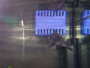 sera biotop led cube 130 xxl filtereinlass filter intake pets aquarium fish 3d print model - Mito3D