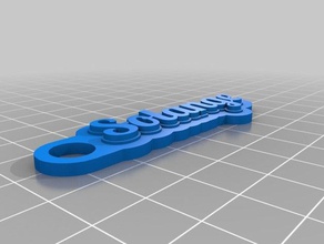 solange keychains customized 3d print model - Mito3D