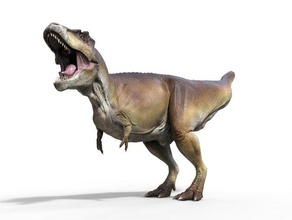 rex escultura 3d impressão dinossauro dinossauros 3d print model - Mito3D