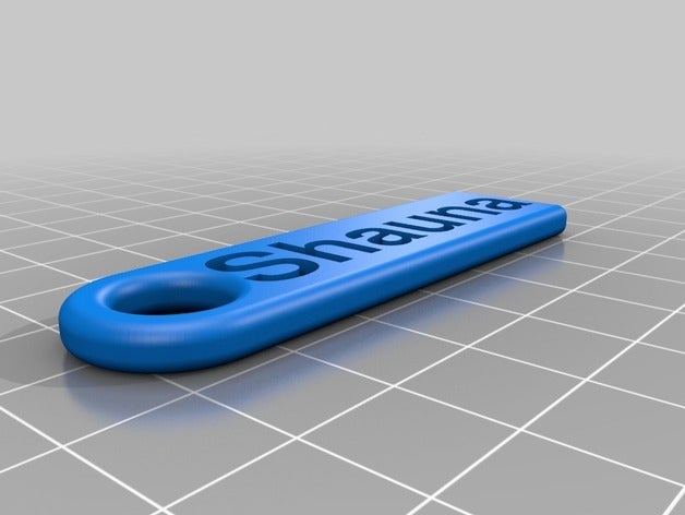 shauna flache personalisierte Schlüsselanhänger - Zubehör angepasst 3D print model - Mito3D