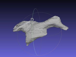 driftwood duck scan hook scans replicas animals 3d print model - Mito3D