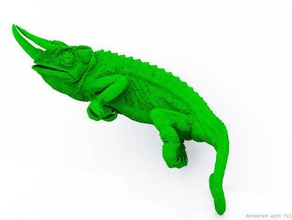 chameleon ct biyoloji 3d model anatomi ayrıntılı cesaret yüksek çözünürlüklü içinde orman yağmur ormanları gerçek dil 3d print model - Mito3D