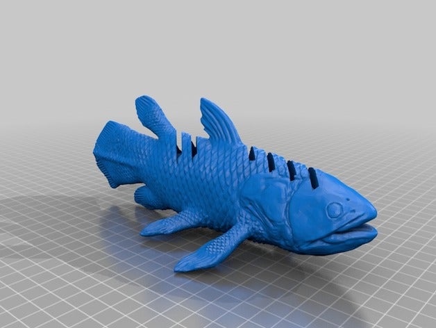 celacanto titular do cartão sd 3d a impressora os acessórios peixe 3D print model - Mito3D