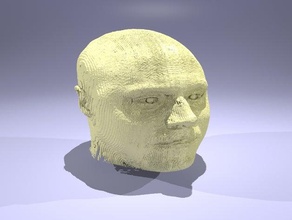 tête humaine t1 généré un réel tomodensitométrie biologie 3d print model - Mito3D