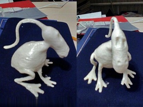 frogtail yaratıklar hayvan sanat karakter sevimli peri canavar 3d print model - Mito3D