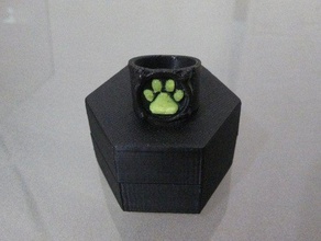 chat noirs ring rings cosplay dualstrusion dual extrusion miraculous ladybug 3d print model - Mito3D