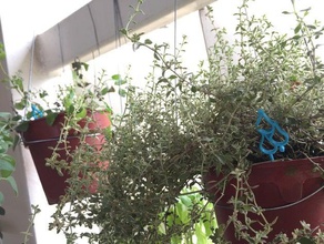 ne pas trop arroser mes plantes plein air jardin arrosage des système d'arrosage 3d print model - Mito3D
