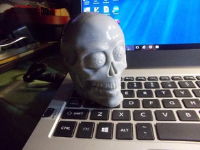 red skull sculptures 3d print model - Mito3D