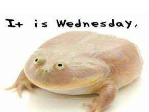 wednesday my dudes frog meme art dank funny low budget pepe rare toad 3d print model - Mito3D