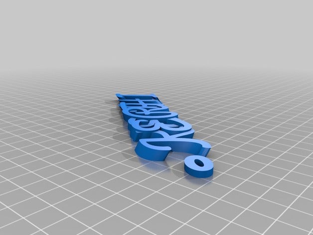 my customized iamburnystext keerthi no ring organization 3D print model - Mito3D