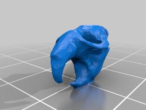 Bisamratte Schädel gereinigt Tiere Tier Tier-Schädel fallout 4 molerat muskrats Ratte Ratten 3d print model - Mito3D