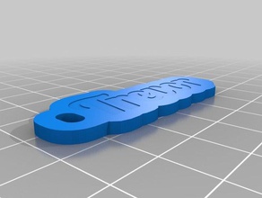 trevor dual keychains customized 3d print model - Mito3D