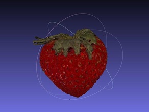 strawberry nextengine scan fruits vegetables edition scans replicas food 3d print model - Mito3D