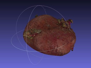 potato scan nextengine scanner fruits vegetables scans replicas food 3d print model - Mito3D