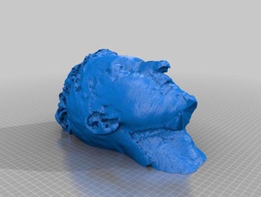 troy people 3d print model - Mito3D